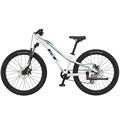 GT Bicycles Stomper 24" Ace