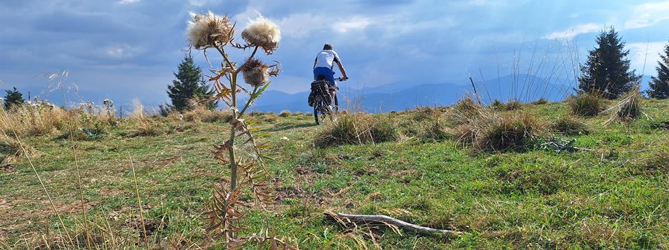 15.-25.6.2025 zatvorené