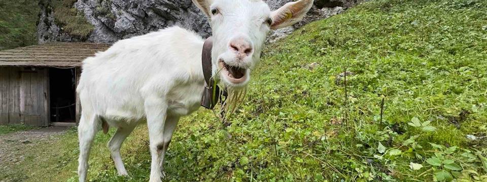 27.10. - 1.11.2025 zatvorené