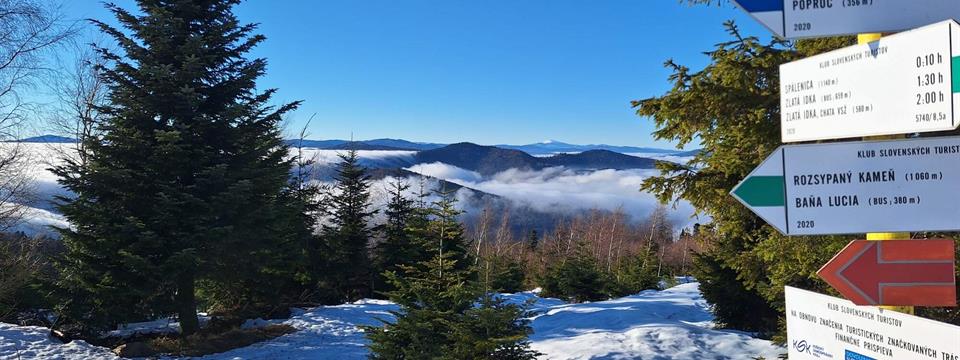 Pokojné sviatky a veľa šťastia v novom roku