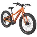 CANNONDALE Kids Trail Plus 20"