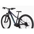 CANNONDALE Trail 24"