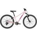 CANNONDALE Trail 24"