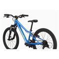 CANNONDALE Trail 20"