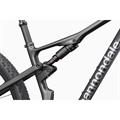 CANNONDALE Scalpel 29" Carbon 2