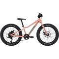 CANNONDALE Kids Trail Plus 20"