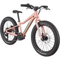 CANNONDALE Kids Trail Plus 20"