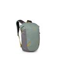 OSPREY Transporter Zinch Frosty Mint (10006411)