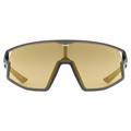 UVEX Skyryse Smoke Matt/mir.gold (s5330895512)