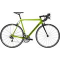 CANNONDALE Caad 12 Ultegra (2018)