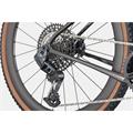 CANNONDALE Topstone Carbon 1 Lefty Axs