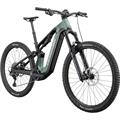 CANNONDALE Moterra Carbon 2