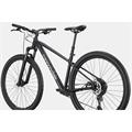 CANNONDALE Trail 1
