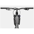 CANNONDALE Trail 1