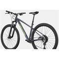 CANNONDALE Trail 1