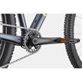 CANNONDALE Trail 1
