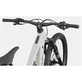CANNONDALE Moterra 3