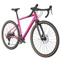 CANNONDALE Topstone 2 1x