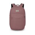 OSPREY Arcane Xl Day Purple Garnet Heather (10007152)