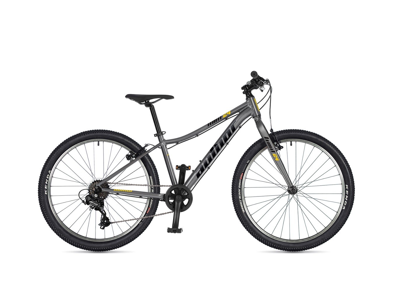 AUTHOR Limit 24" (2026)