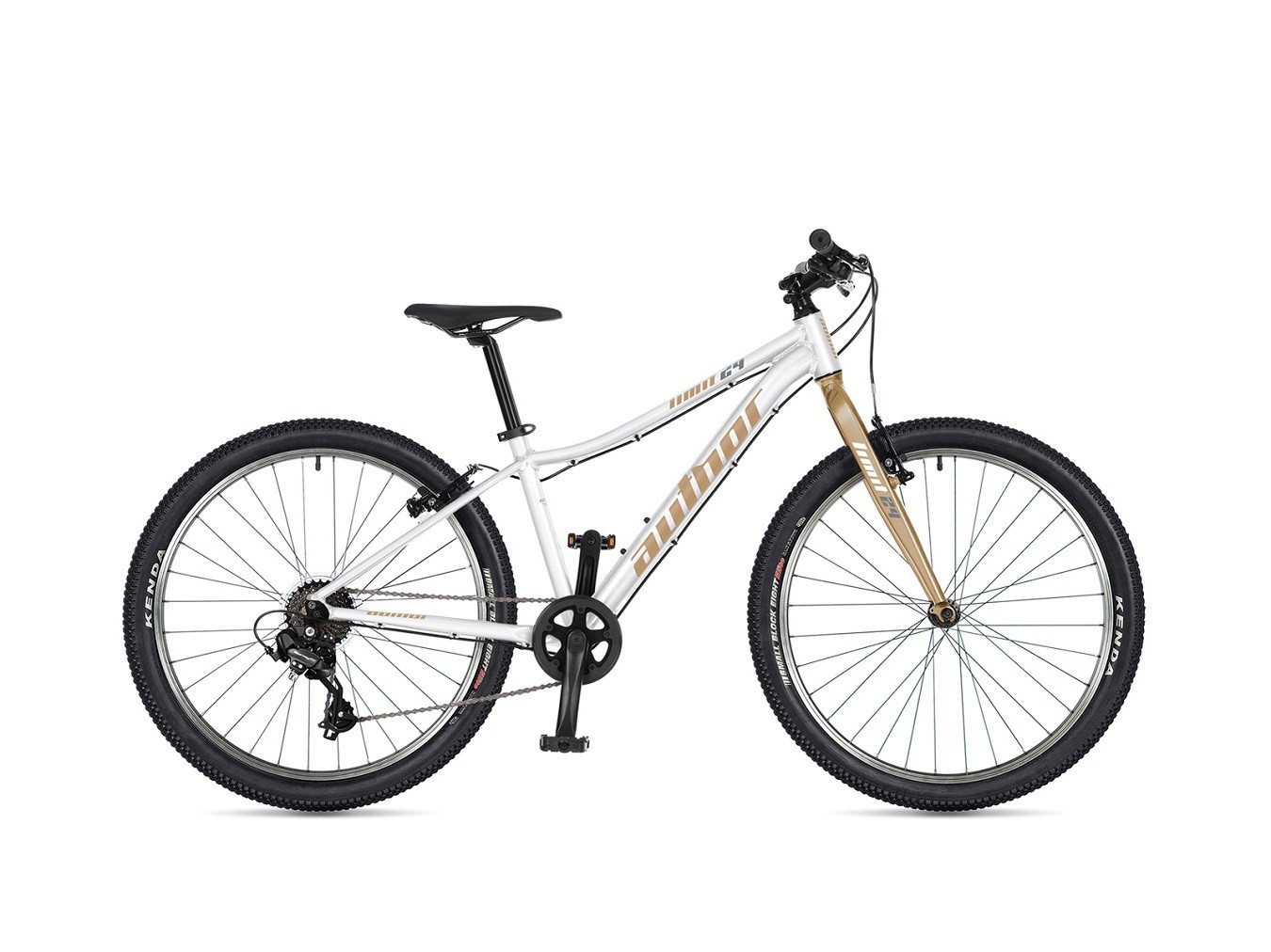 AUTHOR Limit 24" (2026)