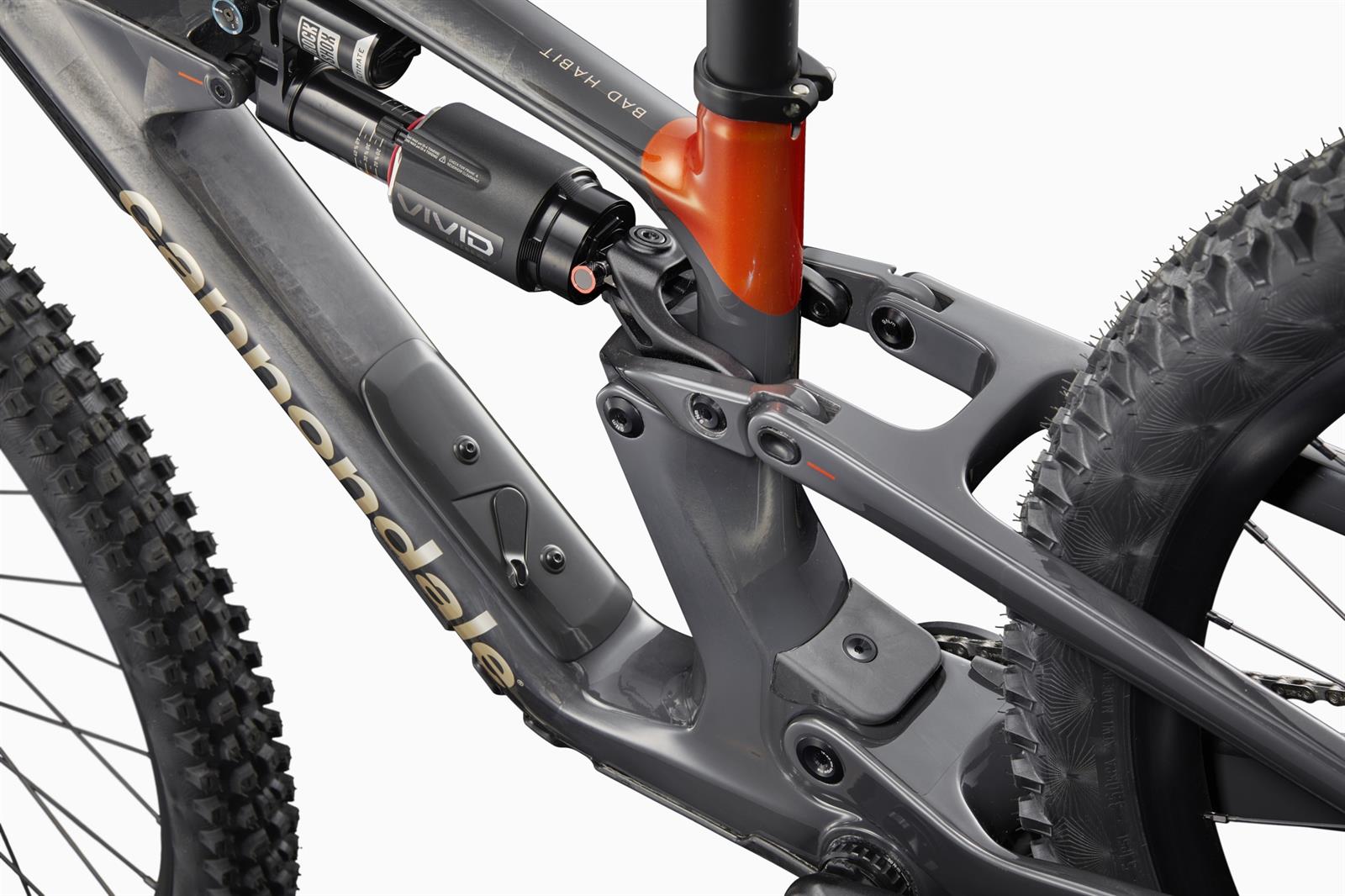 CANNONDALE Bad Habit 1