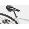 CANNONDALE Topstone Caad Lefty