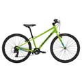 CANNONDALE Quick 24" Boys (2019)