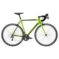 CANNONDALE Caad Optimo Tiagra (2019)