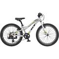 GT Bicycles Stomper 20" Ace (2020)